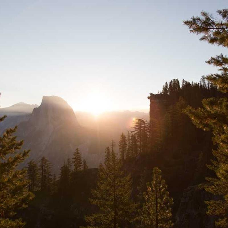운전면허 갱신-운전면허
