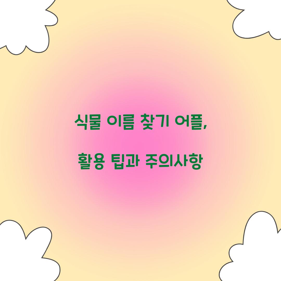 식물 이름 찾기 어플