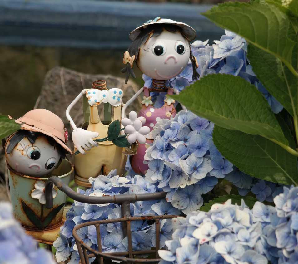 베니스랜드 유럽수국축제