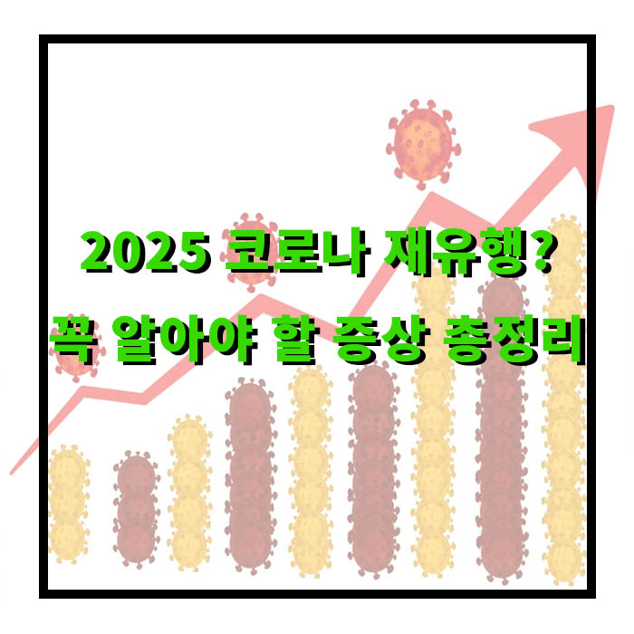 2025 코로나 재유행 총정리
