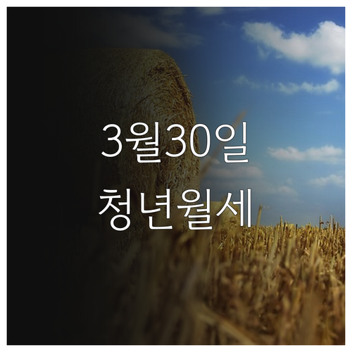 2026년 춘천시 청년월세 3월 30..