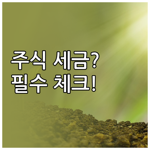 국내외 주식 손익통산 기준과 배당소득..