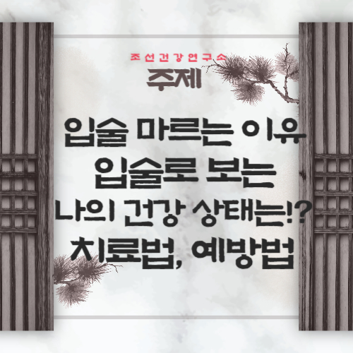 입술이 마르는 이유 입술 건강 상태 입술 갈라짐 마름 치료법