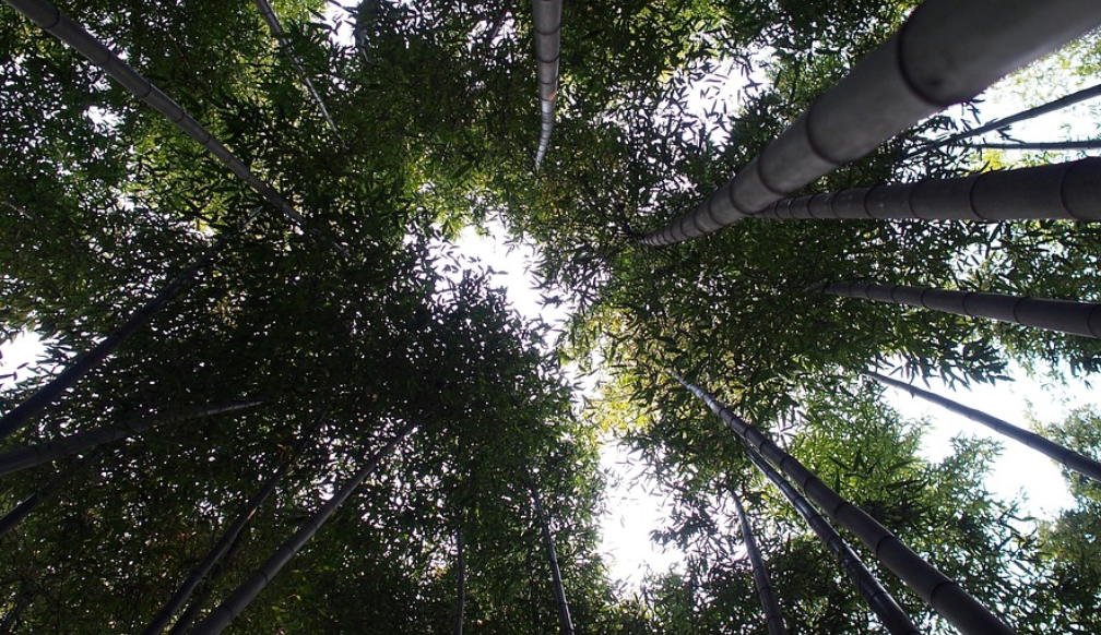 알아두면 여행 고수! 소규모 도시에서 만난 숨은 명소 BEST 10