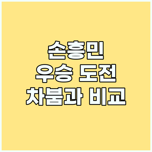손흥민, 유로파리그 우승 도전! 차범