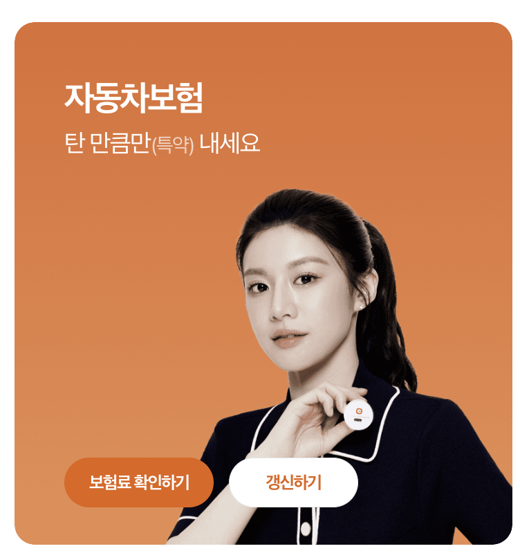 자동차보험료 확인하기