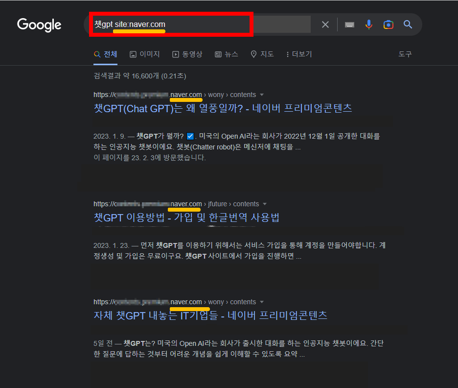 검색에서 티스토리나 네이버만 보기