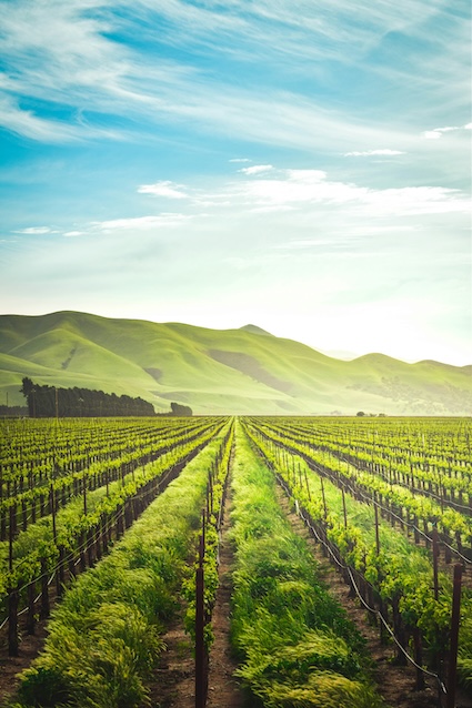 긴급복지 지원제도