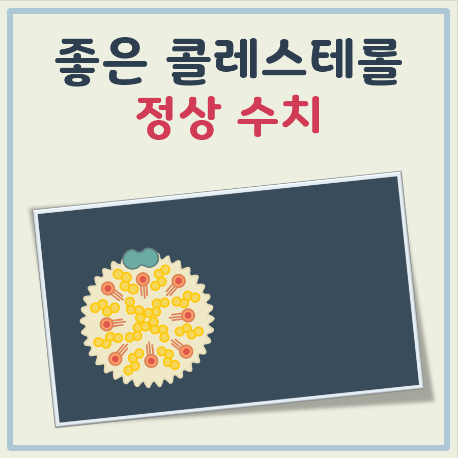 좋은 콜레스테롤 정상수치