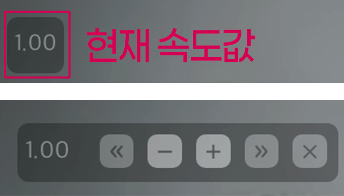 디즈니플러스 재생 속도7