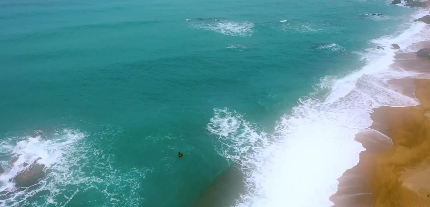 영덕 대가족 펜션 블루오션 관광펜션