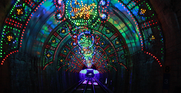 삼척 레일바이크