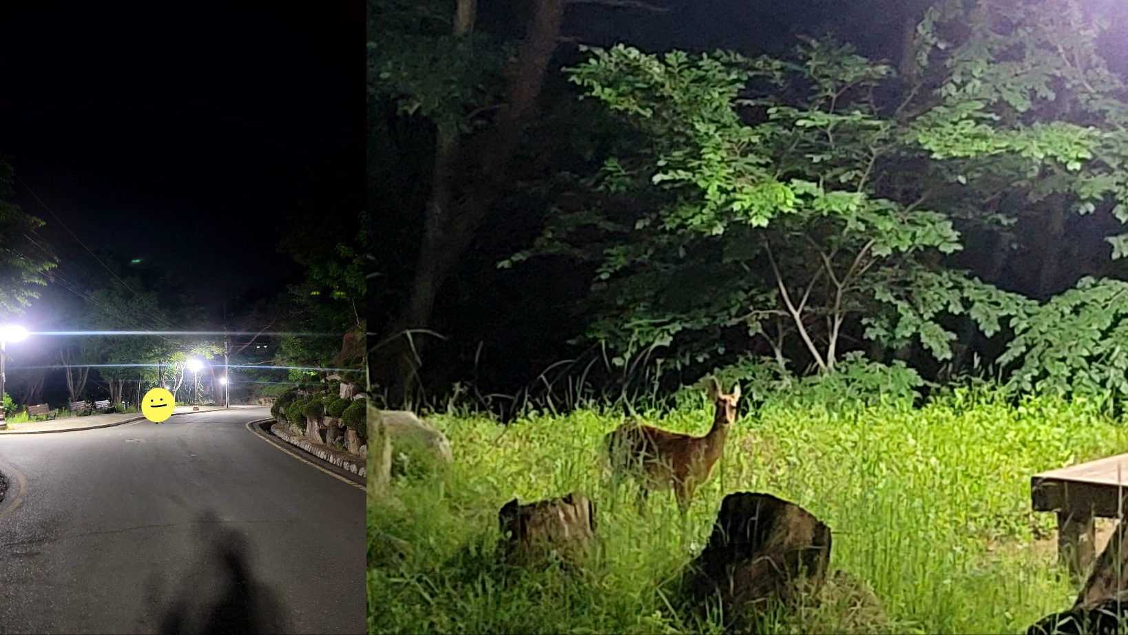 대구 팔공산 등산 하산 야간산행