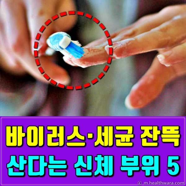 세균 많은 곳 신체부위,손톱밑 혓바닥 배꼽