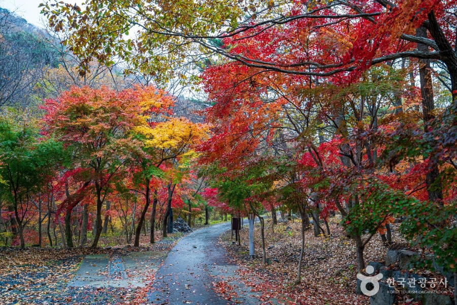 충남 가을 여행지 추천