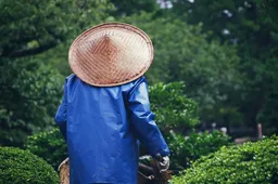 여름철 온열질환 사전 대응 재난문자