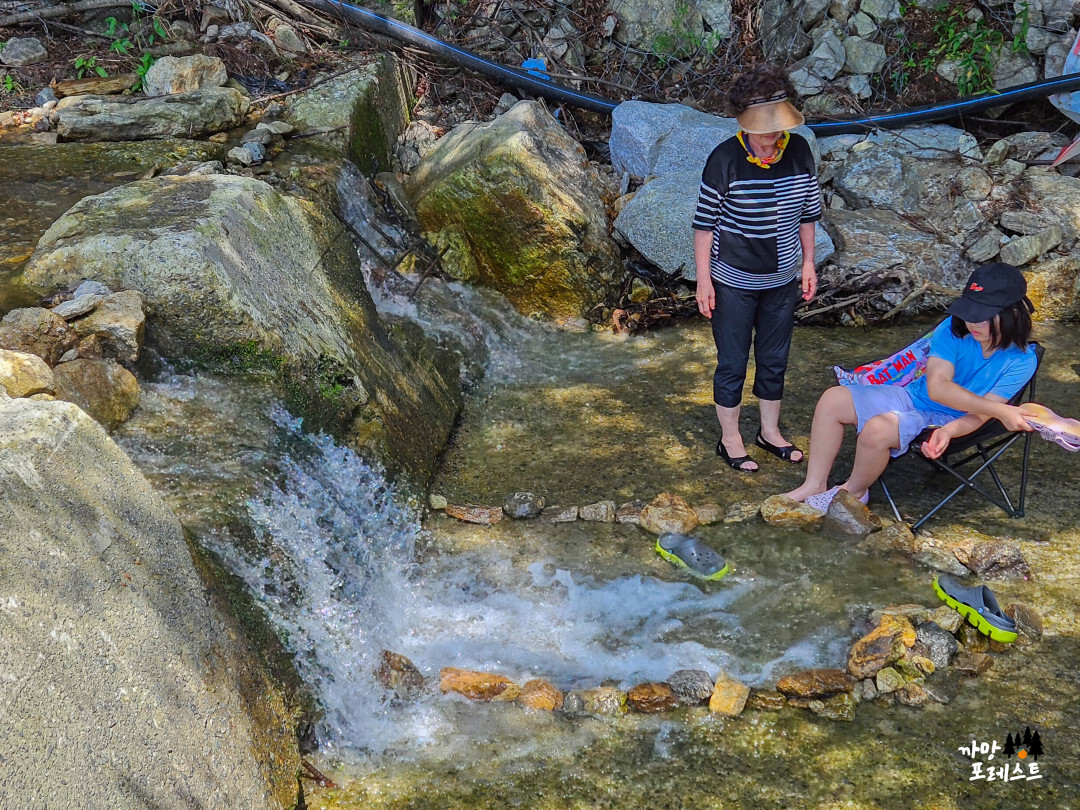 용인 고기리 계곡 가족 나들이