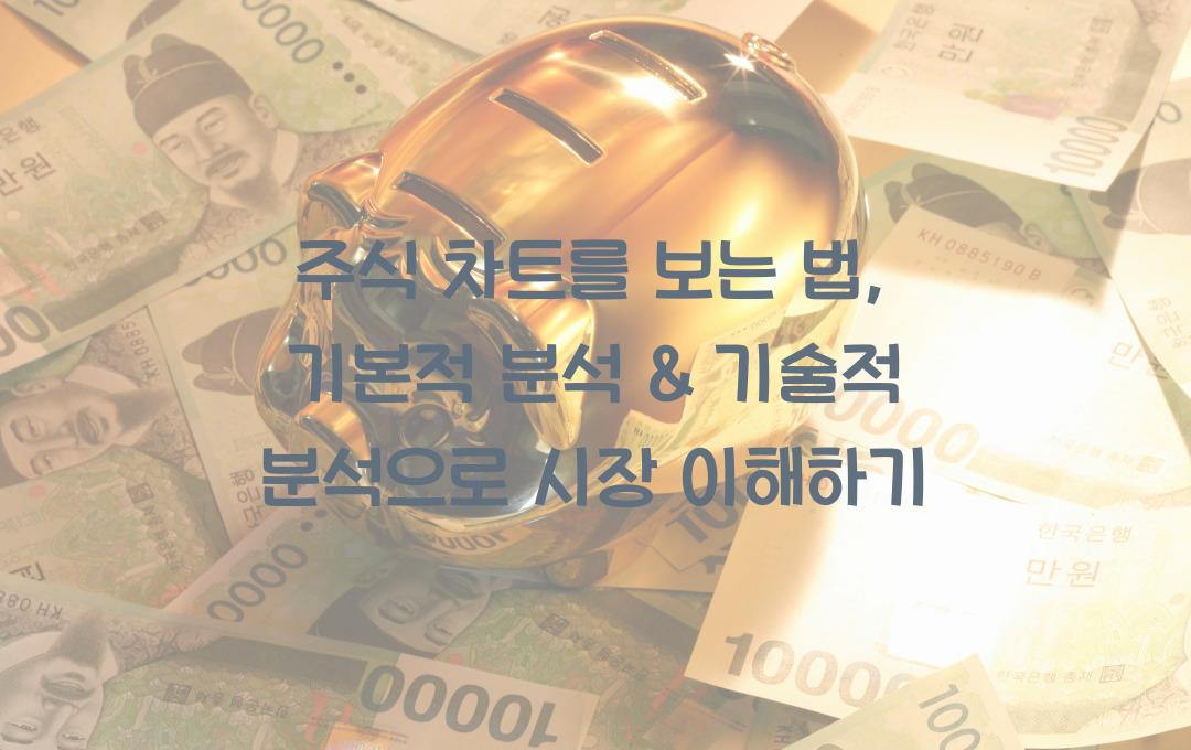 주식 차트를 보는 법: 기본적 분석 & 기술적 분석 비교