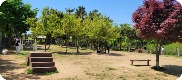 경기도 반려견 운동장