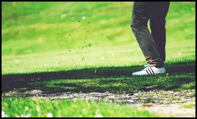 파크골프의 기본자세 (+ 퍼터 )