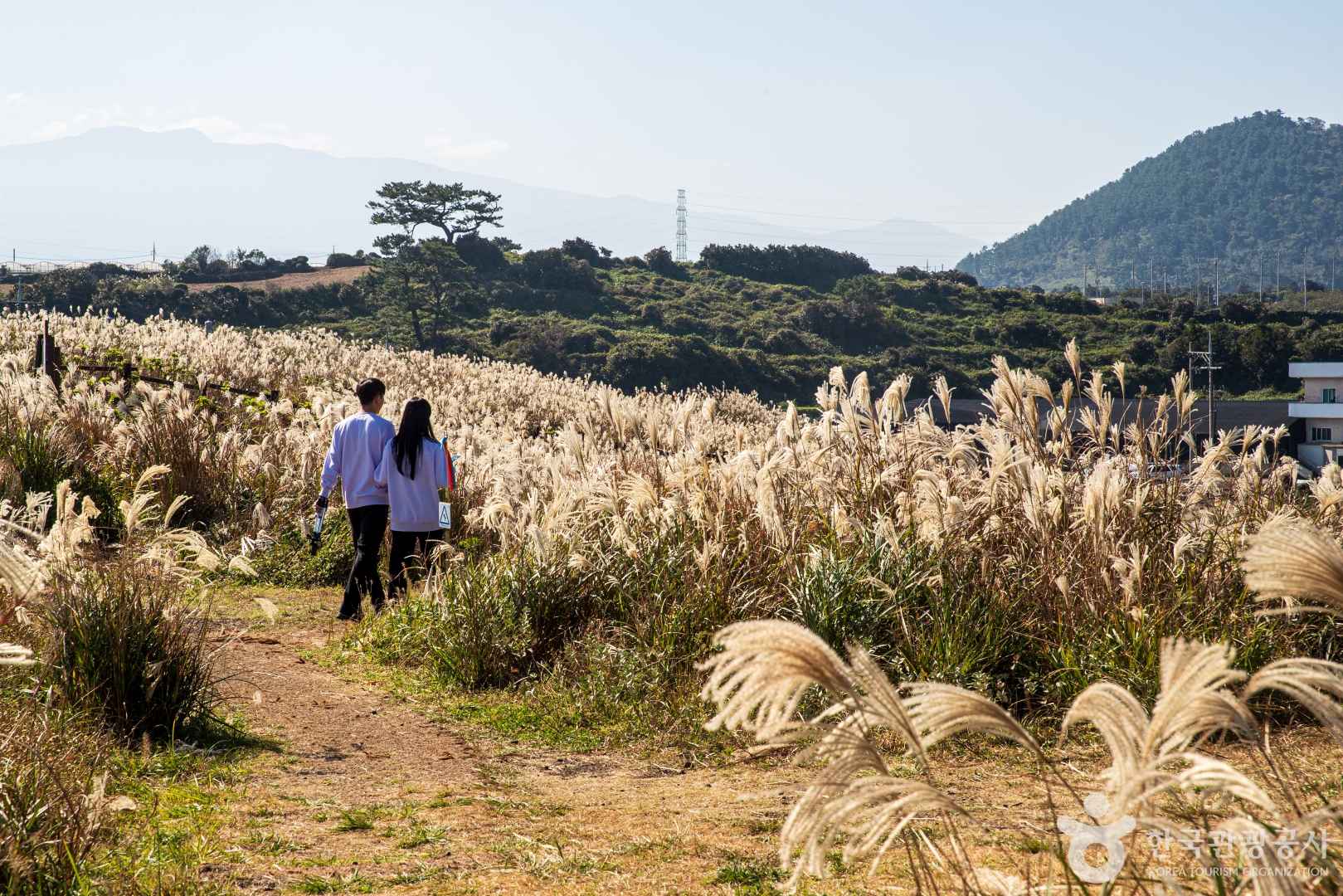 제주 닭머르해안길