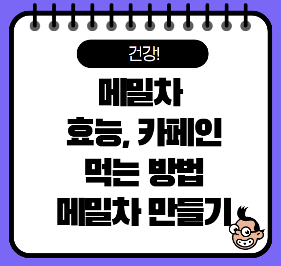 메밀차 효능 만드는 법 카페인 메밀차 섭취법