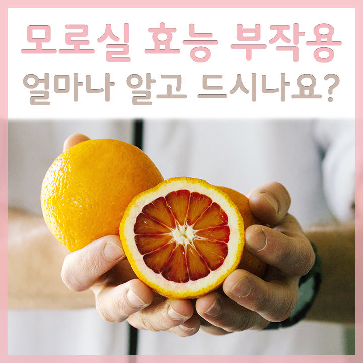 모로실-단면의-모습