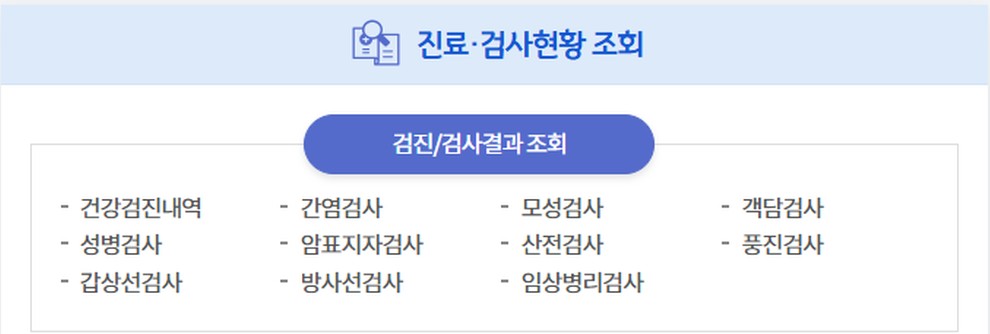 보건증 인터넷발급3