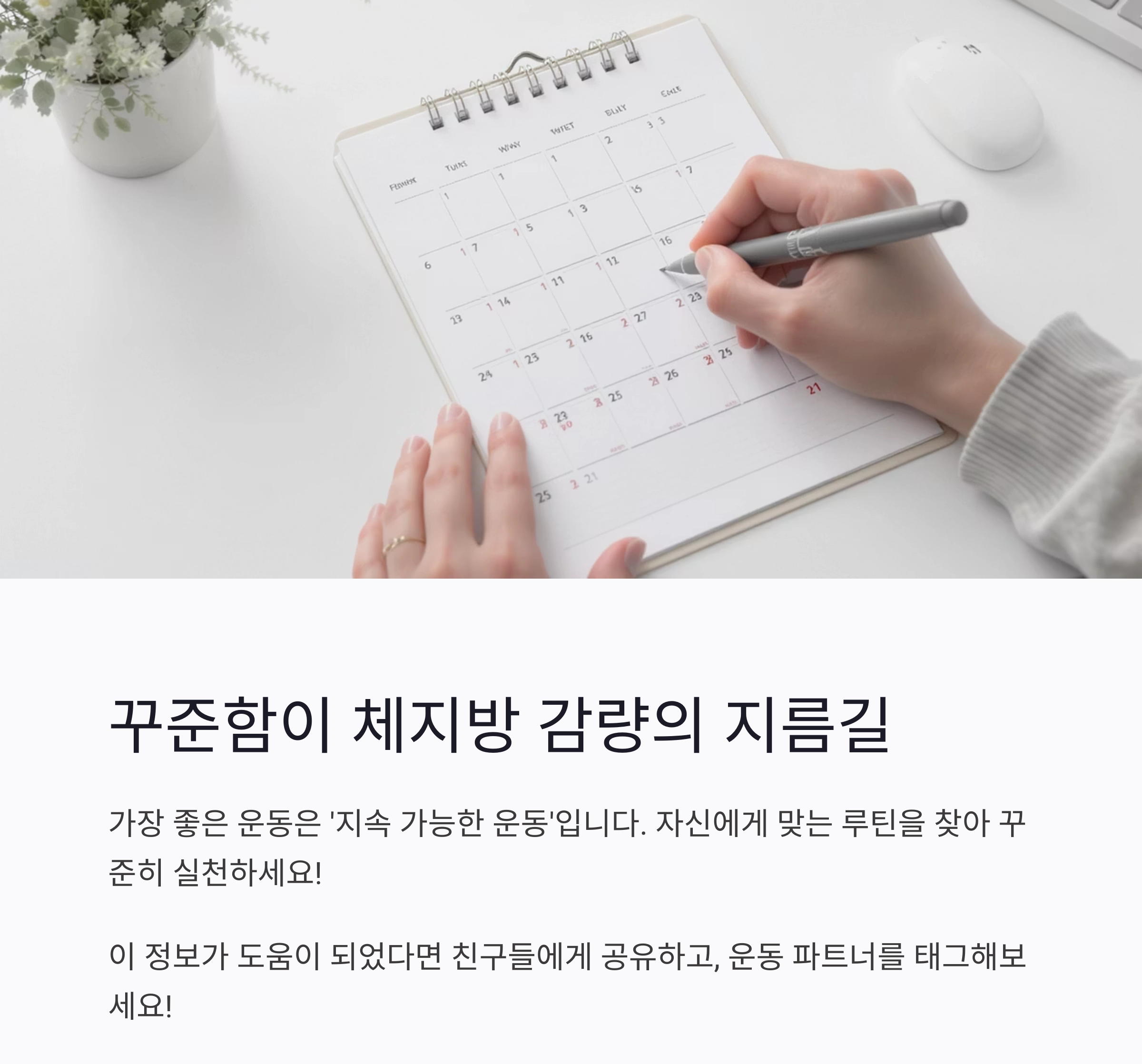 체지방 감량에 효과적인 운동 TOP 5, 지금 시작하세요!