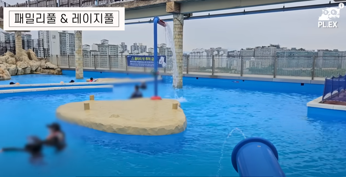 패밀리 풀