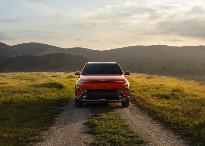 코나 하이브리드 이미지