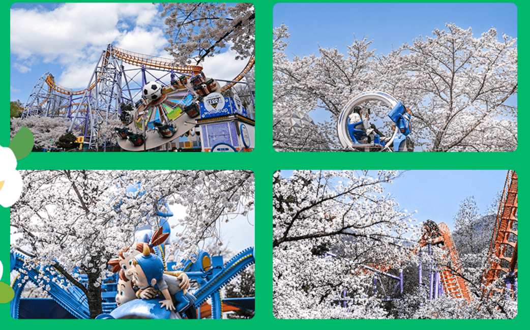 서울랜드 자유이용권 할인 꿀팁 총정리