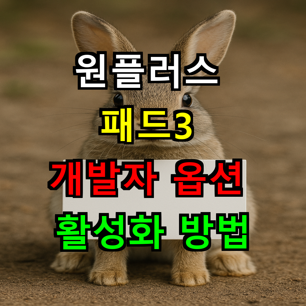 원플러스 패드3 개발자 옵션 활성화하고 성능 끌어올리는 방법은?