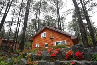 자연 속 힐링 2025년 국립자연휴양림 여름 명소 추천 3곳 완벽 여행_16