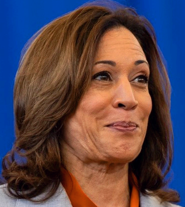 해리스 부통령 프로필 나이 고향 학력 경력 &amp;#124; 바이든 사퇴 대체후보 카멀라 해리스 거론 배경 