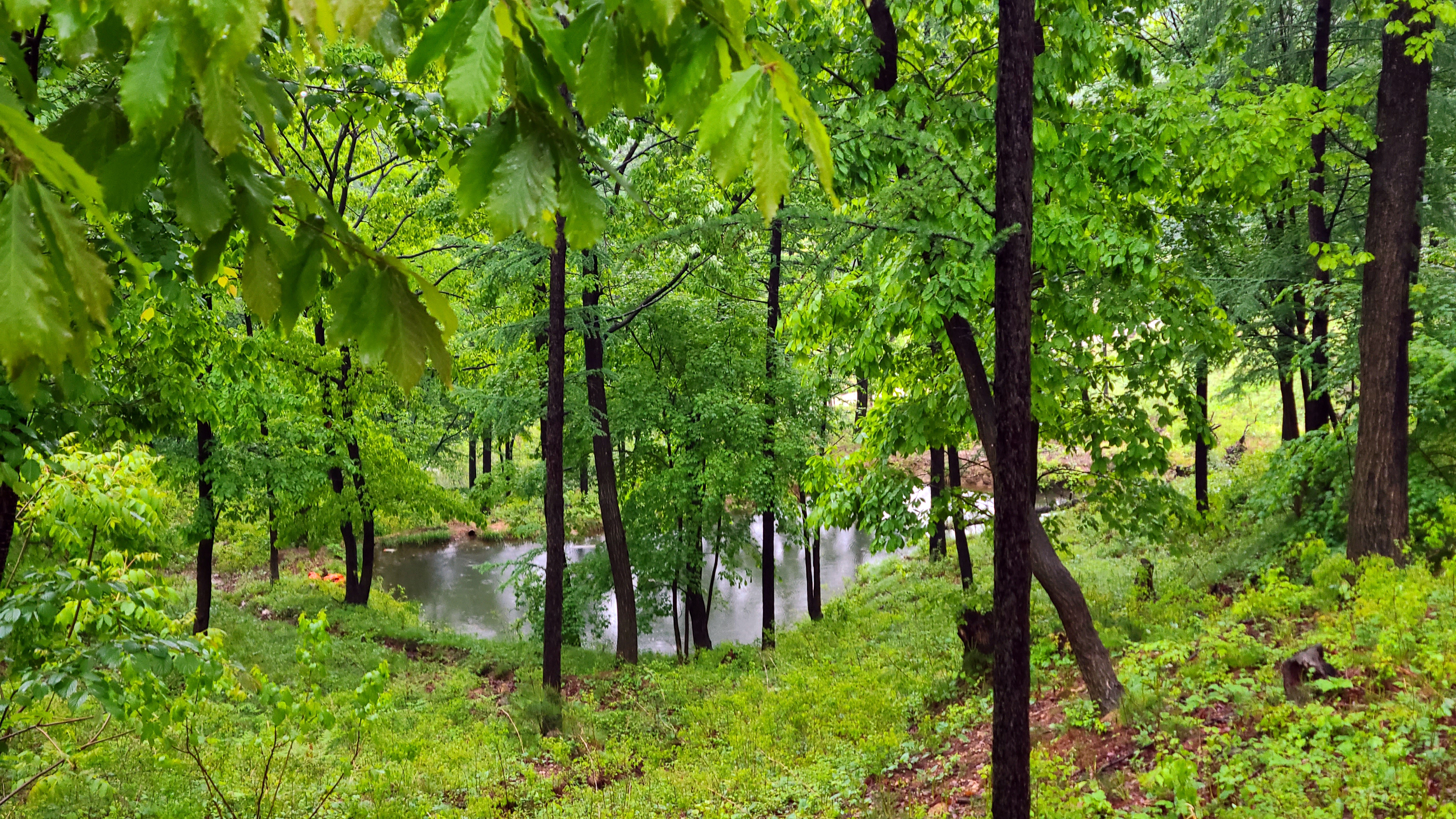 산중 숲속 오토캠핑장