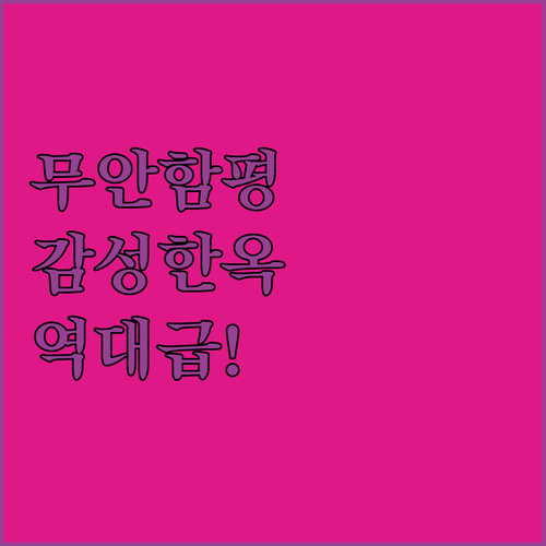 전남 엄다시장 근처 무안 함평 숙소 ..