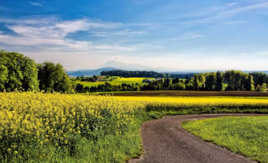 귀농에 대하여 알아보기