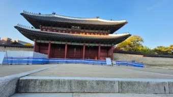 창덕궁 봄 꽃 개화 시기 근처 맛집 10선_15