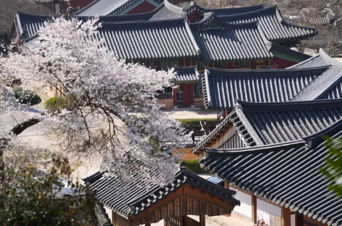 순천-송광사-템플스테이-힐링-예약-가격-프로그램