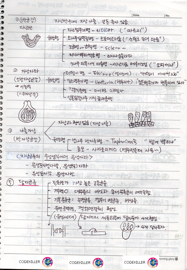 자낭반&#44; 자낭자좌&#44;나출자낭