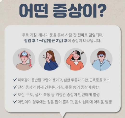 독감의 주요 증상