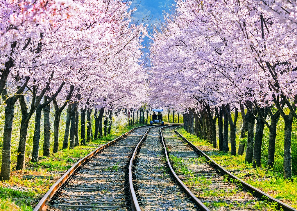 2025 봄, 춘천에서 꼭 가봐야 할 힐링 여행지 &amp; 맛집 리스트