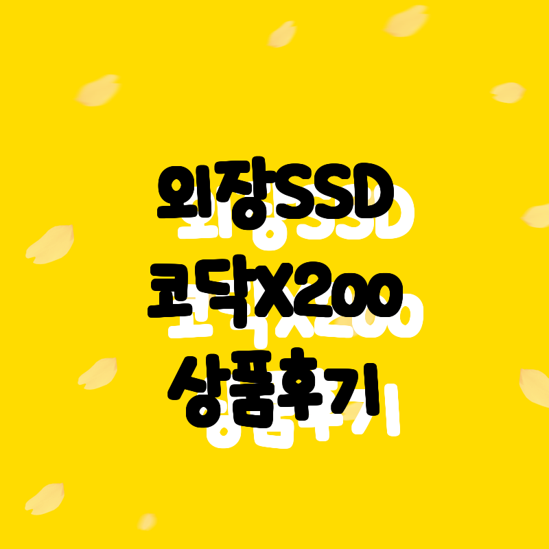 가성비 최고의 외장 SSD, 코닥 X