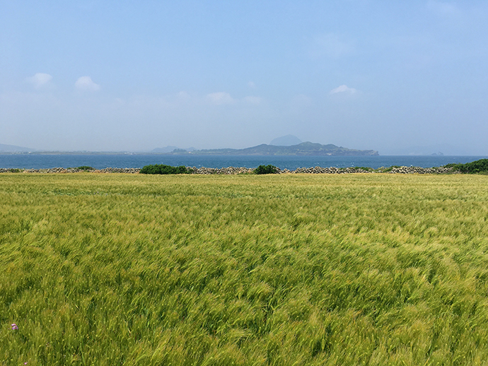 가파도-풍경-자전거-타고-즐기기17