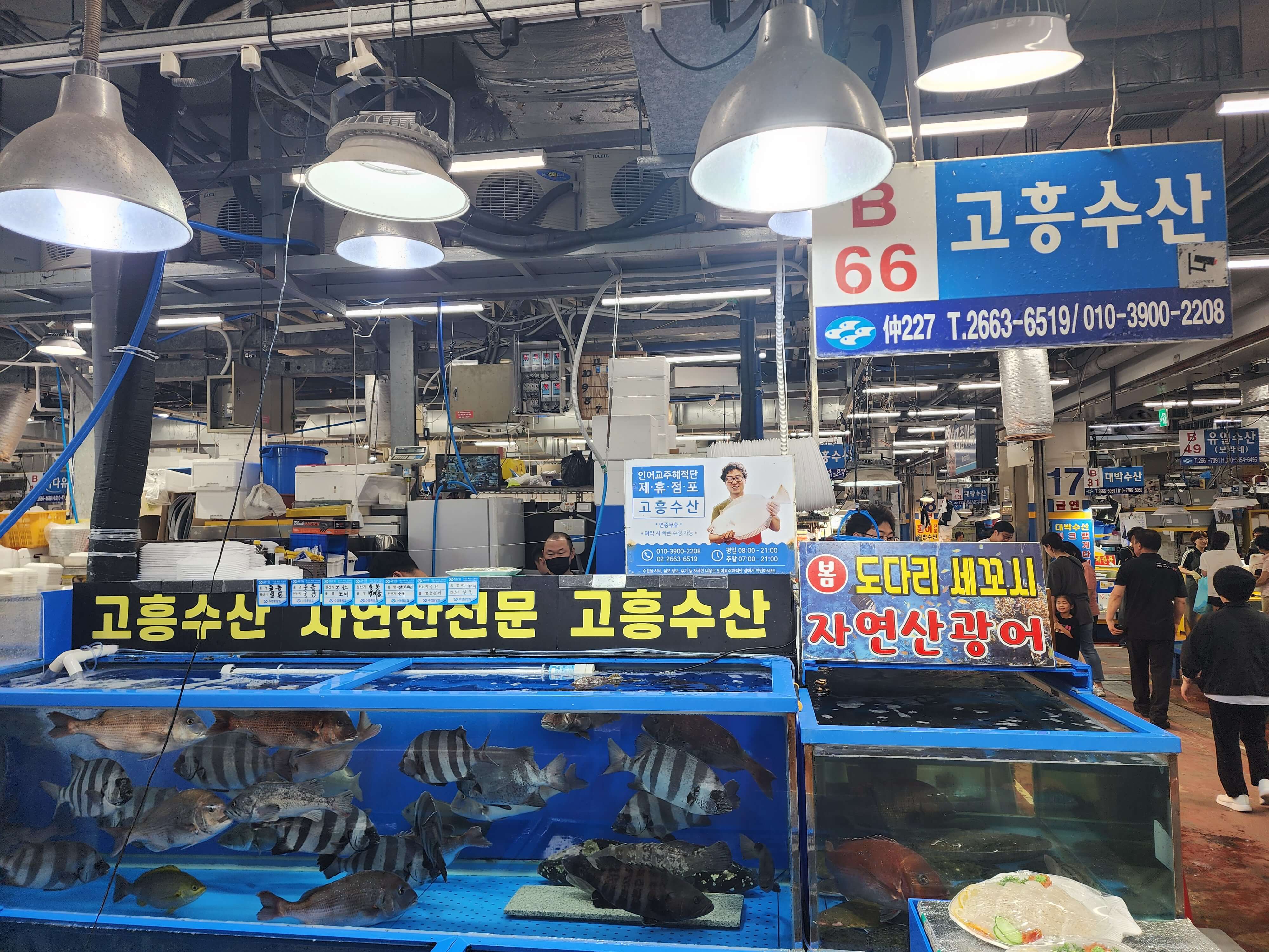 고흥수산