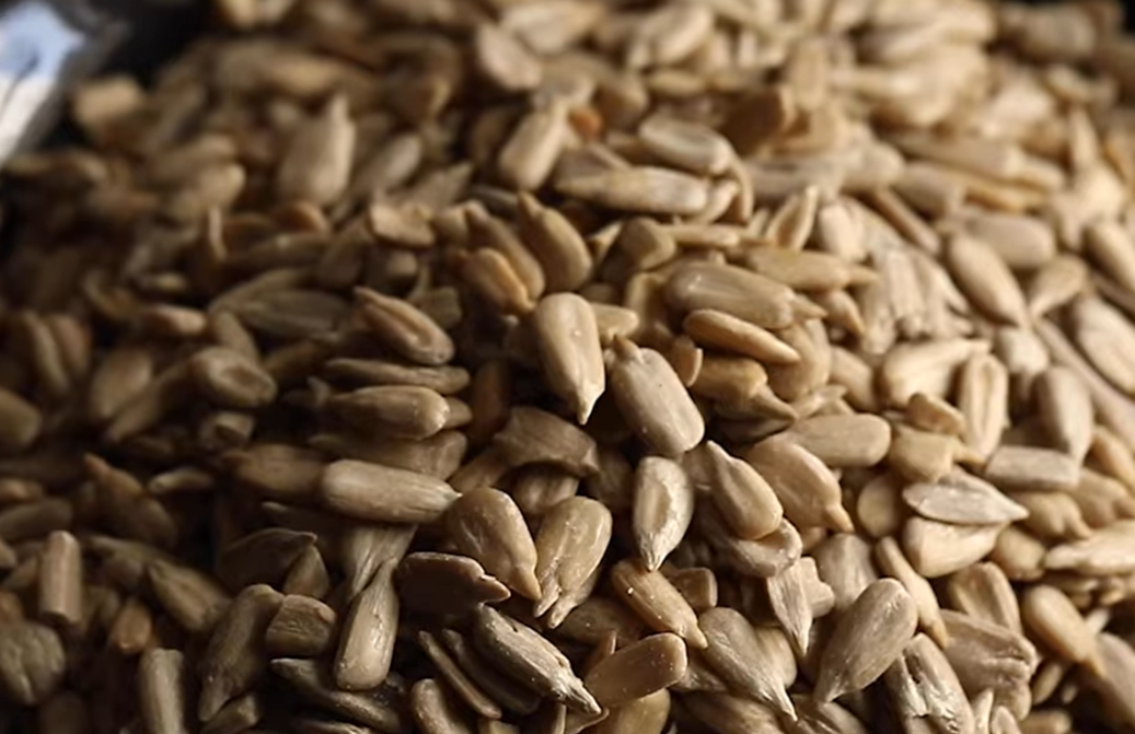 해바라기 씨 효능