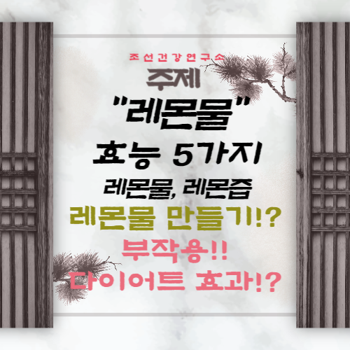 레몬물 효능 다이어트 레몬물 만들기 아침에 먹는 방법 레몬즙, 레몬차 부작용