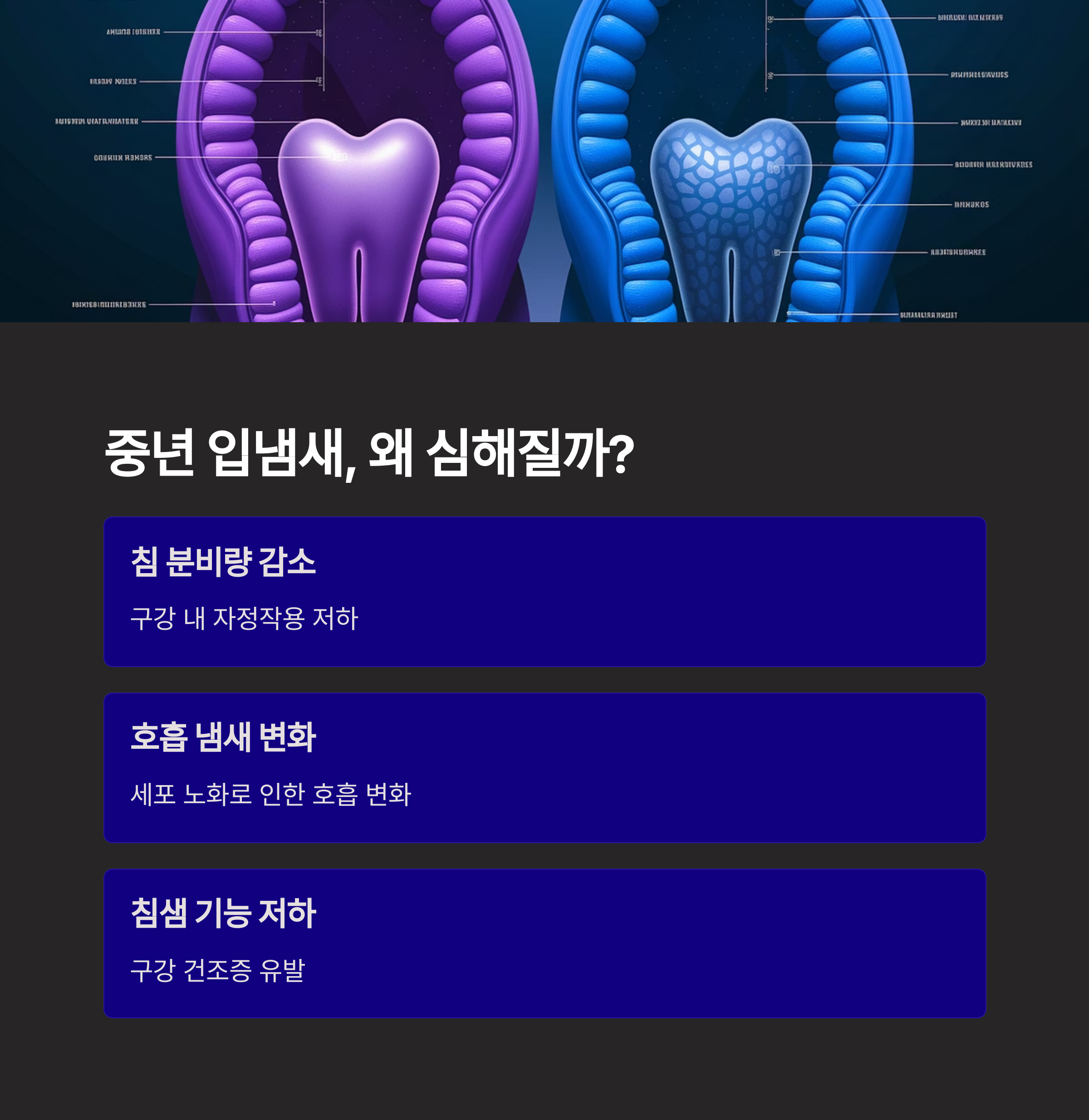 듀오버스터 민트볼 중년 입냄새 고민 해결템
