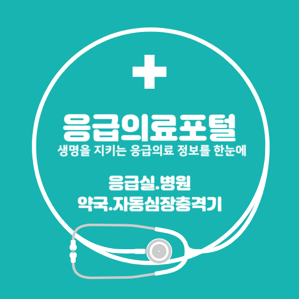 응급의료포털